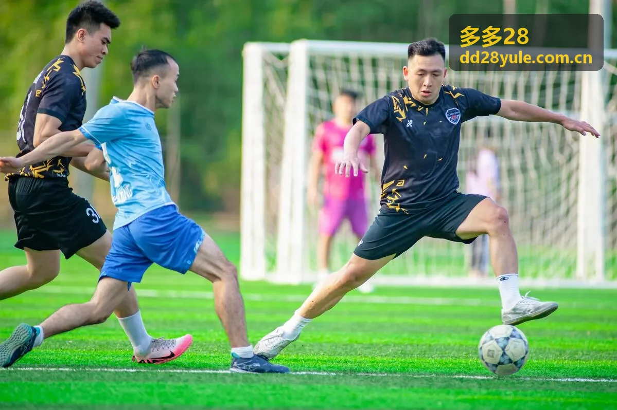 多多28数据安全保障升级